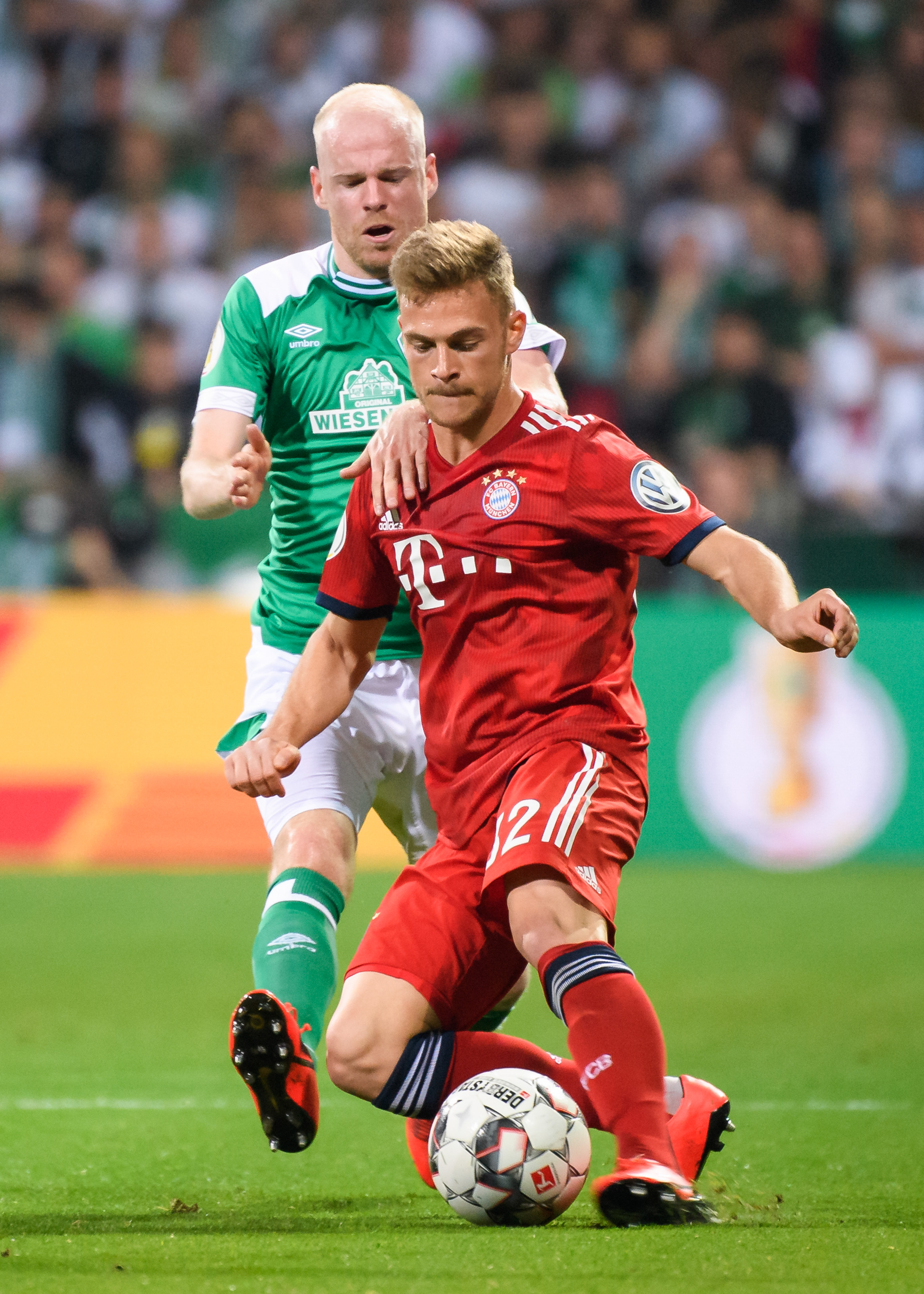 他特别赞扬 他特别赞扬