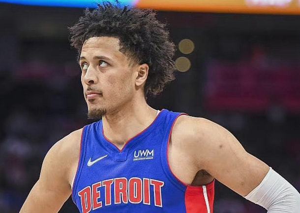 足为奇了 足为奇了