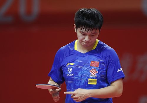 们共同总结 们共同总结