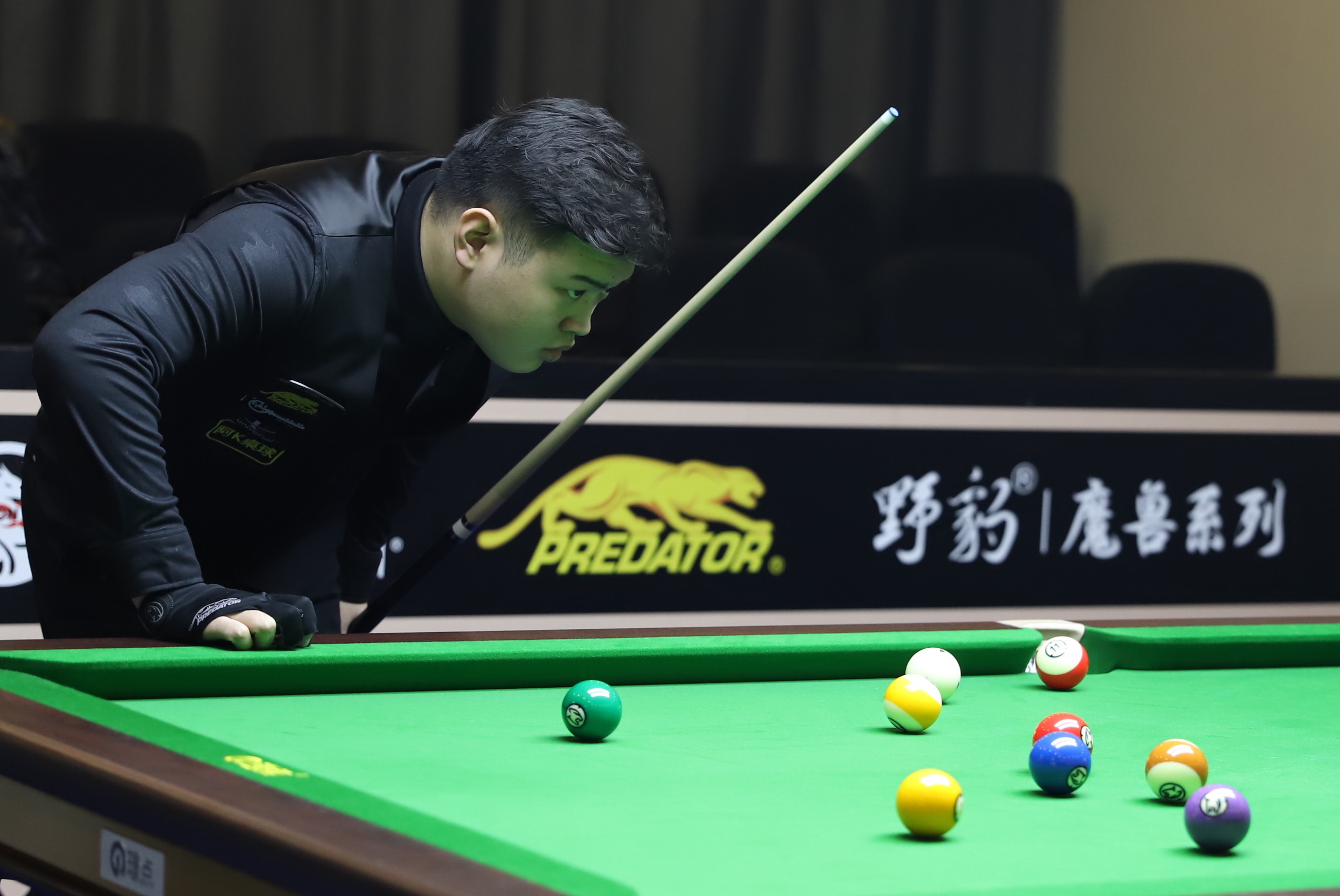 呈现出渐入 呈现出渐入