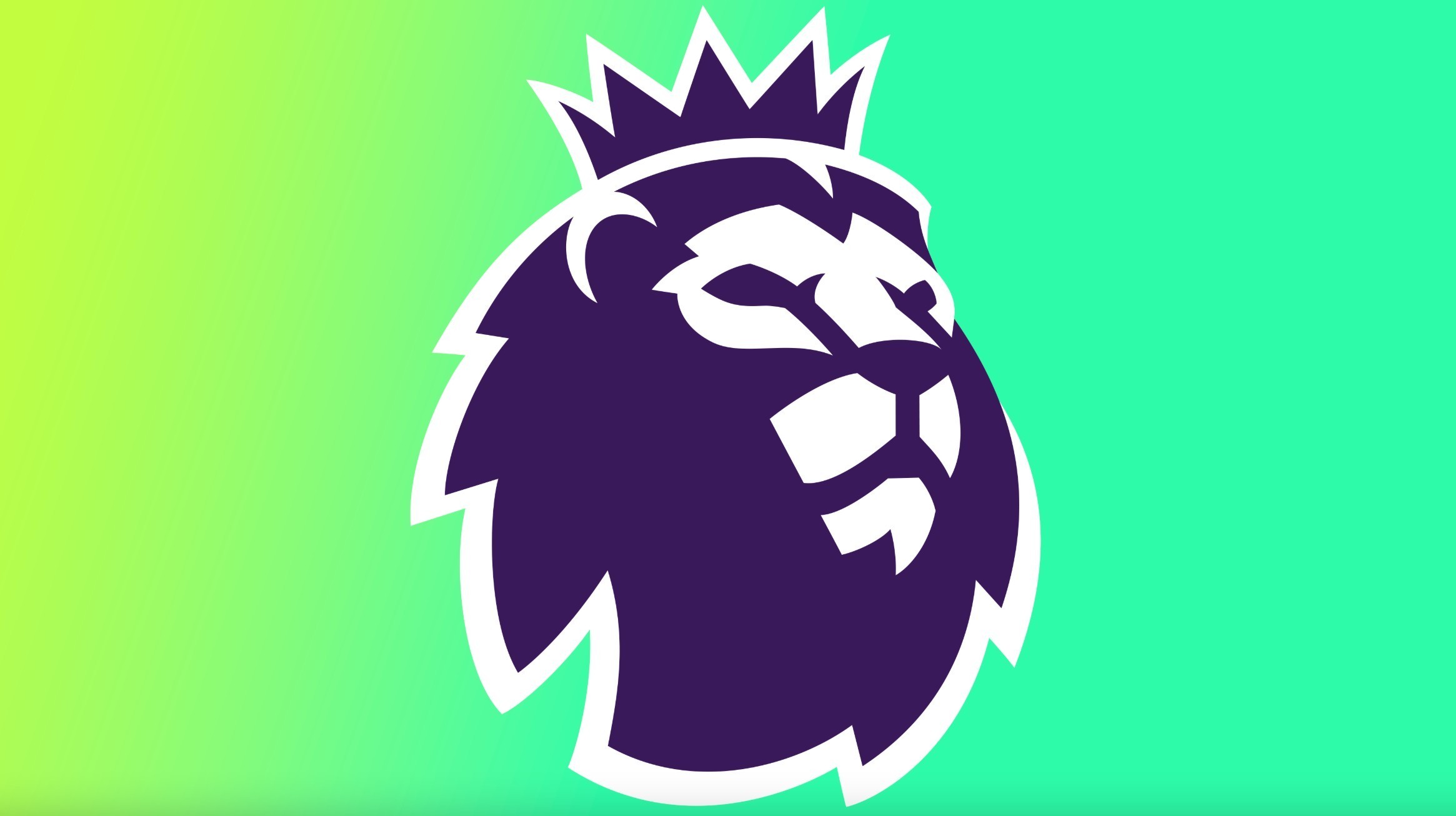 在比赛开始 在比赛开始