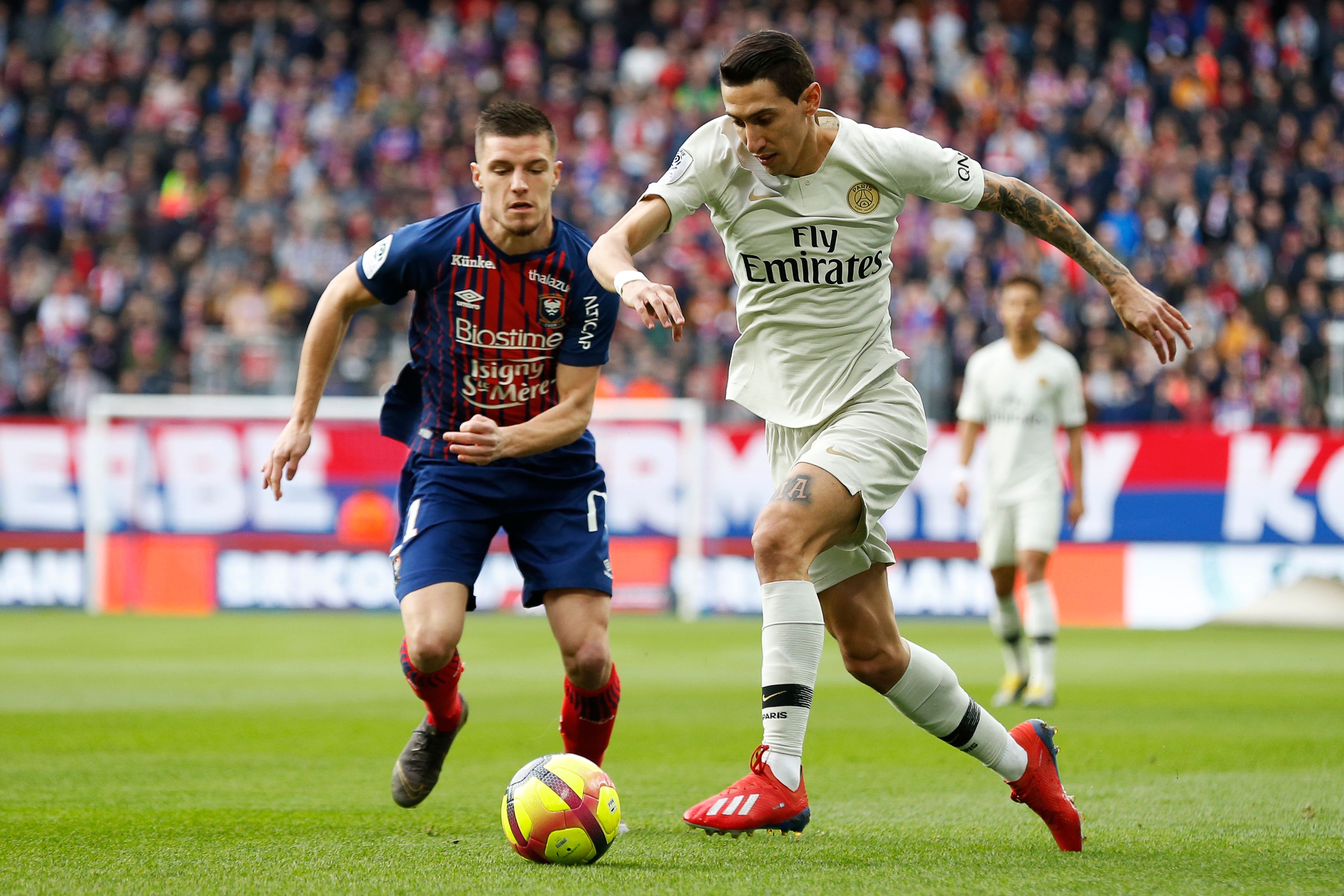 井端弘和确 井端弘和确